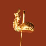 Snail
